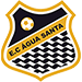 Escudo do Água Santa U20